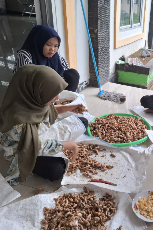 sejarah PKBM Oryza Sativa (26)